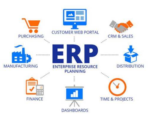 Software Services and ERP